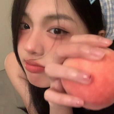 极岛森林第二季