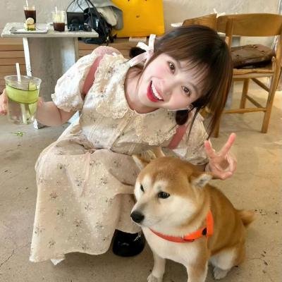 母牛总动员